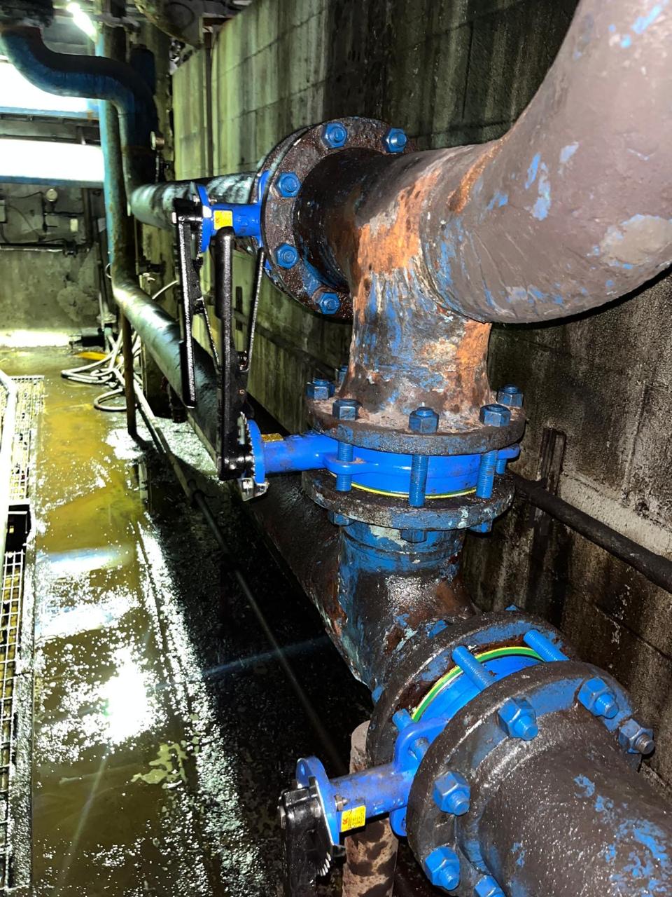 Lone Star ICG Project